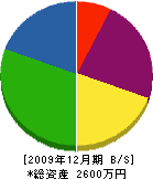 松栄 貸借対照表 2009年12月期