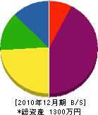 大宮電設 貸借対照表 2010年12月期