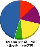 辻住宅設備 貸借対照表 2010年12月期