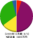 ミハタ電気 貸借対照表 2009年12月期