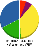 浅倉電気商会 貸借対照表 2010年12月期