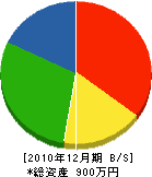 青山建設 貸借対照表 2010年12月期