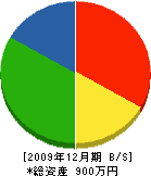 斉藤電設 貸借対照表 2009年12月期