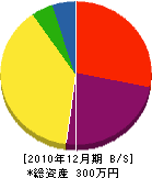 藤吉園 貸借対照表 2010年12月期