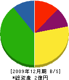 田島組 貸借対照表 2009年12月期