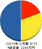 飯島テレビ商会 貸借対照表 2010年12月期