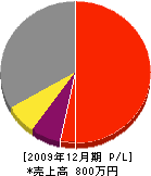 堀江工業 損益計算書 2009年12月期