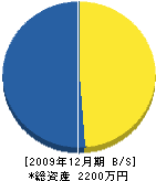 逢坂建設 貸借対照表 2009年12月期