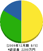 畑澤電設 貸借対照表 2009年12月期