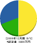 中川電設 貸借対照表 2009年12月期