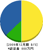 田辺建設 貸借対照表 2009年12月期