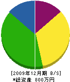 山田塗装 貸借対照表 2009年12月期