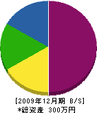 松本工業 貸借対照表 2009年12月期