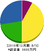 竹内造園 貸借対照表 2010年12月期