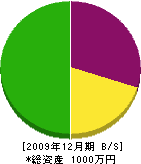 松高園 貸借対照表 2009年12月期