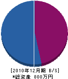 村松設備 貸借対照表 2010年12月期