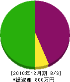 斉藤造園 貸借対照表 2010年12月期