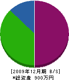 北田造園土木 貸借対照表 2009年12月期