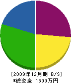 溝田建築工業 貸借対照表 2009年12月期