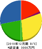 岩川電気 貸借対照表 2010年12月期
