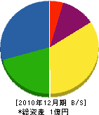 村井電設 貸借対照表 2010年12月期