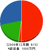 すみれ園管電工 貸借対照表 2009年12月期