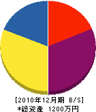 村松設備サービス 貸借対照表 2010年12月期