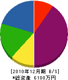 山本電気 貸借対照表 2010年12月期