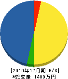 辰巳野組 貸借対照表 2010年12月期
