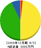 上田電機工業所 貸借対照表 2009年12月期