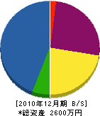 岩本工業 貸借対照表 2010年12月期