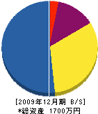 ヤスハラ・デンキ技研 貸借対照表 2009年12月期