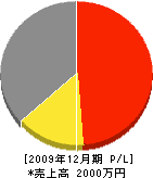 佐藤電業 損益計算書 2009年12月期