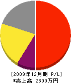 宮川造園 損益計算書 2009年12月期