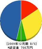 山崎電気 貸借対照表 2009年12月期