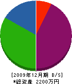 糸瀬組 貸借対照表 2009年12月期