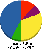 長澤電気 貸借対照表 2009年12月期