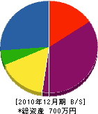 谷岡電気 貸借対照表 2010年12月期