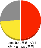 薄田土建 損益計算書 2009年12月期