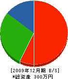 小野山電気商会 貸借対照表 2009年12月期