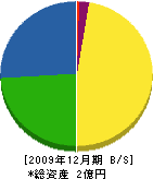 田辺畳店 貸借対照表 2009年12月期
