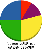 ワカナ塗料産業 貸借対照表 2010年12月期