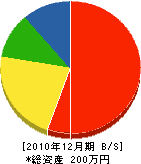 冨永緑松園 貸借対照表 2010年12月期