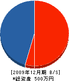 石田建築 貸借対照表 2009年12月期