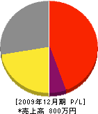 野沢塗装 損益計算書 2009年12月期