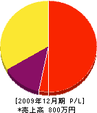 小濱造園 損益計算書 2009年12月期