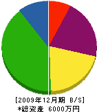 伊藤建具店 貸借対照表 2009年12月期