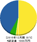 辻野建設 貸借対照表 2010年12月期