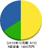 田中秀治 貸借対照表 2010年12月期