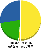 三栄電気水道商会 貸借対照表 2009年12月期